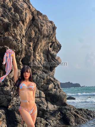 trans girl Hotestvietnam 4142649 trans girl Hotestvietnam 4142649