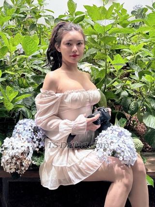 trans girl Hotestvietnam 8549794 trans girl Hotestvietnam 8549794