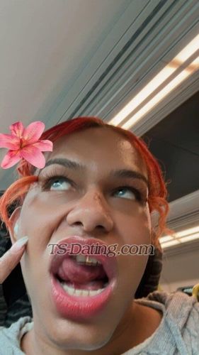 trans girl Hotfrances 4493875