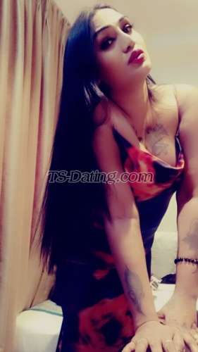 trans girl Hotsakshi 3509792 trans girl Hotsakshi 3509792