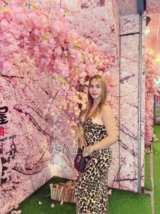 trans girl HottaJulia22 9660354 trans girl HottaJulia22 9660354