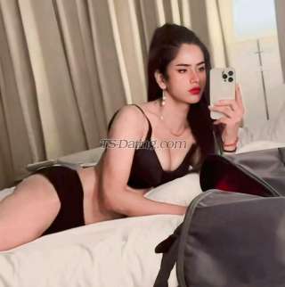 trans girl HottyNia 0235677 trans girl HottyNia 0235677
