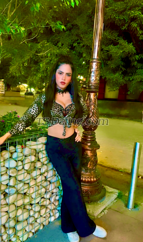trans girl HottyNia 9957514 trans girl HottyNia 9957514