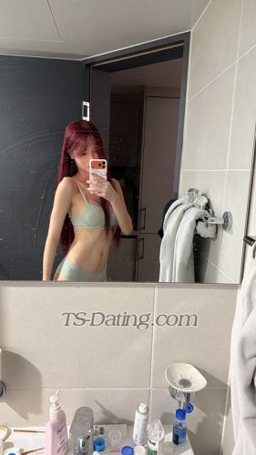 trans girl Hshshsb22 3285316