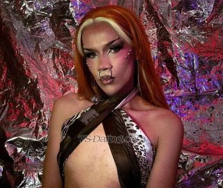 trans girl HummahPoiso 8221311 trans girl HummahPoiso 8221311