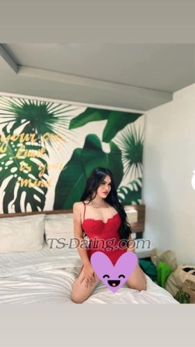 trans girl Hyiraa 1571832 trans girl Hyiraa 1571832