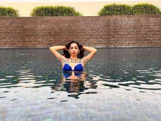 trans girl hazelann13 1791322 trans girl hazelann13 1791322