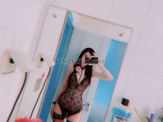 trans girl hotshebe 8852483 trans girl hotshebe 8852483