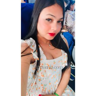 trans girl hotsneha 2184292 trans girl hotsneha 2184292