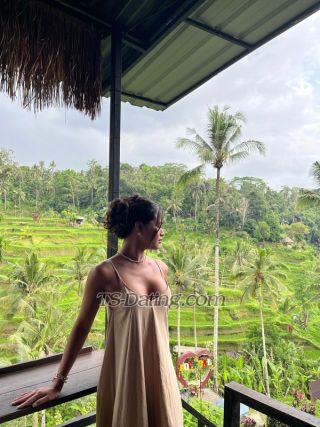 trans girl IamPrescilla 1669880 trans girl IamPrescilla 1669880