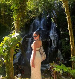 trans girl IamPrescilla 5250686 trans girl IamPrescilla 5250686