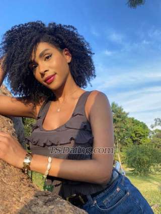 trans girl Ipanema 1659151 trans girl Ipanema 1659151