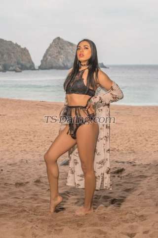 trans girl IreneFox 9581005 trans girl IreneFox 9581005