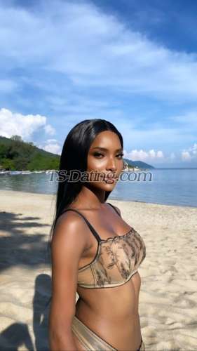 trans girl IsabellaSweet 5772446 trans girl IsabellaSweet 5772446