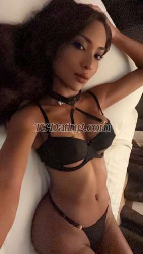 trans girl IsabellaSweet 8647725 trans girl IsabellaSweet 8647725