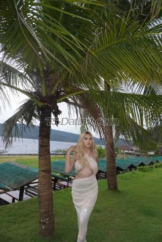 trans girl Itscandiceu 3485324 trans girl Itscandiceu 3485324