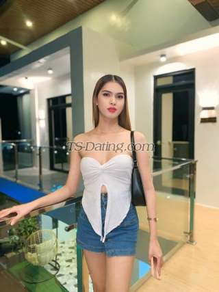 trans girl Itsmecoleen 9042857 trans girl Itsmecoleen 9042857