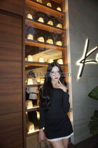 trans girl Ivybabe 8550838 trans girl Ivybabe 8550838