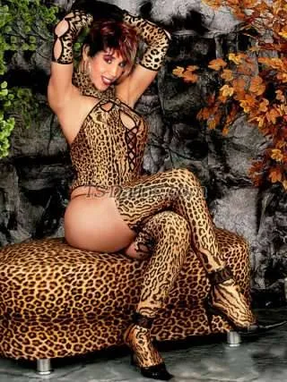 Shemale inastrans 5816416 Shemale inastrans 5816416