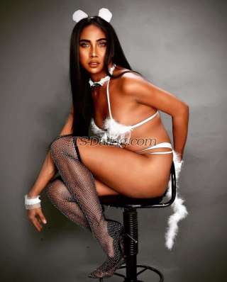 trans girl isadora006 6137658 trans girl isadora006 6137658