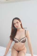 JAYDA24 Bankgkok Transex Hallo!! Mein Name ist Jayda 🍌 Ich bin ein Ladyboy vor der OP aus Bangkok, Thailand 🇹🇭 Ich bin unten, aber oben kann ich hart kommen 🍆 5 Zoll 💦 Service über Analsex 🍑 Gesichtseinstellungen 🫦 Blowjob 👅 Gruppensex Incall und Outcall Wenn du mehr über mich erfahren willst bitte kontaktiere mich, Liebling. 💋 Ich warte auf dich. 😊 Leitungs-ID 0928724035 WhatsApp: +66 932369428 Wechat: chi3730502