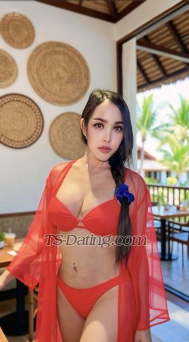 trans girl JELITACaroli 6638583