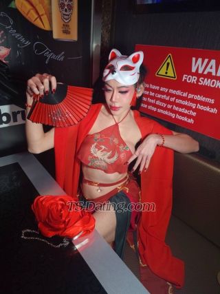 trans girl JJThailadyboy 2195624