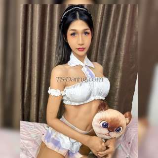 trans girl Jade3243 5892312 trans girl Jade3243 5892312