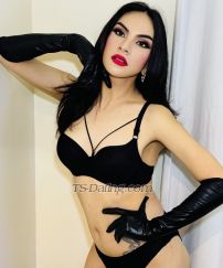 JajaSweet Abu Dhabi Transex 🌟My Name is Jaja from the philippines🇵🇭🌟
✅🚿Hygienic ✅ Fresh breath✅  
✅Incall (Private villa) I also do Outcall ✅ 

Fully Functional Ladyboy , I provide Good Service 

I Can do Both 6'inches(Versa)🍆 Hard dick🍆 Cum a Lot 💦 
Line: jajapinay17 
WeChat: Tsjajaspicy
 
SERVICES: 
Sensual and Relaxing massage💆‍♂️
Master Mistress, Queen be my slave ⛓️👠👋🏻 
Feminization 👗👧  
BDSM Sexy and Naughty 😘 
 
 5’8” (173)Tall 65kg…  😉😘😘😘😘I always make sure that my clients are satisfied and happy with my service no rush and enjoy so they comeback again. see you 😘❤️❤️❤️😘