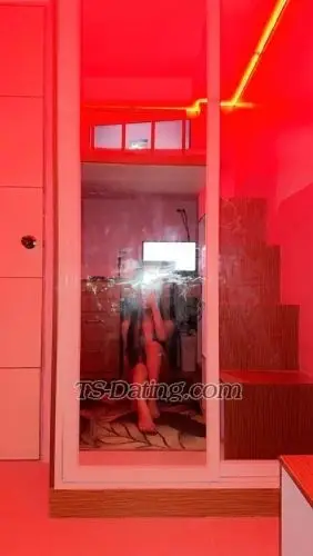 Shemale Jamibear 7938646 Shemale Jamibear 7938646