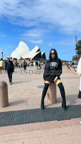 trans girl Jamilahtrans 6635221 trans girl Jamilahtrans 6635221