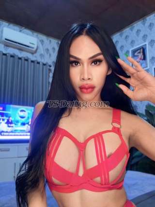 trans girl Jamilahtrans 8305084 trans girl Jamilahtrans 8305084