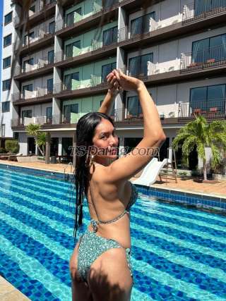 trans girl JaymeeFox28 7704788 trans girl JaymeeFox28 7704788