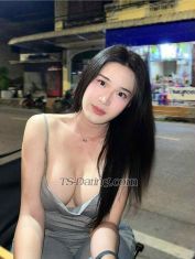 Jenny TS Hat Yai Transex Im Jenny small young & pretty ts, i from Thailand 😘 im
good sucking stand up, my body very good but big boobs 👅
i can Top & Bottom . Dm me if u interested

Contact
me ✨
Whatsapp : +66822640045

(🍌💦 Hope
to meet you soon💦🍌 )