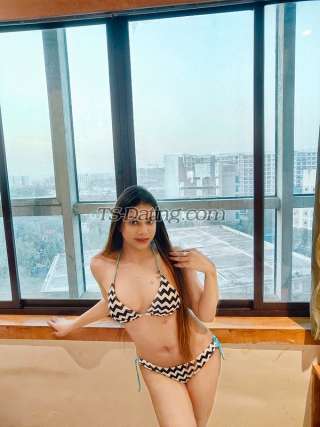 trans girl Jessica18 6091947 trans girl Jessica18 6091947