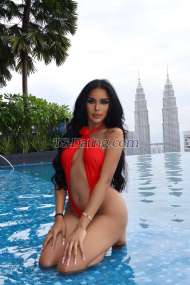 Jessica jessi Phuket Transex VVIP LADY BOY. AMIRAH 23 ANOS, HOT LADY BOY, TOP MODEL TAILÂNDIA 💃🏻 BUNDA GRANDE COM PAU DURO, CORPO SEXY E ROSTO LINDO ❤️‍🔥TOP E FUNDO DISPONÍVEIS ❤️‍🔥LINDA MESMA FOTO 100% Me chame de Amirah VVIP, sou top model 🔥Sou tailandesa, sou a número um, em cima e embaixo, como você quiser🍆 💋 Tenho um rosto incrivelmente lindo🧚🏻‍♀️ Você vai se apaixonar pelos meus olhos👁️💋 Posso assumir qualquer papel se você quiser, é só me dizer 🙏🏻 🍭Tenho um corpo bonito, 18 cm de pênis, tenho uma boa personalidade, sou uma pessoa educada, simpática, gentil, sorridente e educada. Limpo, higiênico e totalmente funcional. Posso ser incrível em cima e super doce embaixo, e tenho um corpo sexy, uma bunda sexy e um rosto lindo, pele macia e macia, presto bons serviços, posso fazer tudo e também gozo muito. 🍆🍆🍌🍌🍑🍑💦 ❌ Sem retorno ❌ Não conhecer casal ❌ Sem drogas 💫vamos aproveitar o nosso tempo juntos😊 escolha-me, você nunca irá decepcionar 😋 😈Então não perca seu tempo e me visite no IG aamirah02