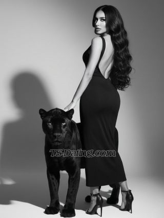 trans girl Jessicajessi 4473082