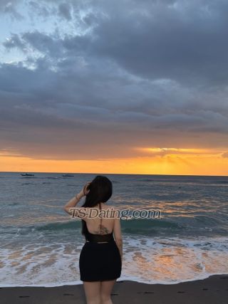 trans girl Jessicalim211 0686208 trans girl Jessicalim211 0686208