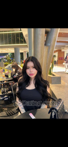 trans girl Jessicalim211 4963274 trans girl Jessicalim211 4963274