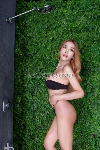 trans girl Jessicaxworld 9814380 trans girl Jessicaxworld 9814380