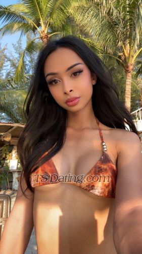 trans girl Jesstheangel4 4607377