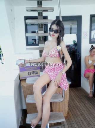 trans girl Jessyka4242 3333934 trans girl Jessyka4242 3333934