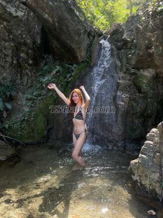 trans girl JillianCuttie 3106193