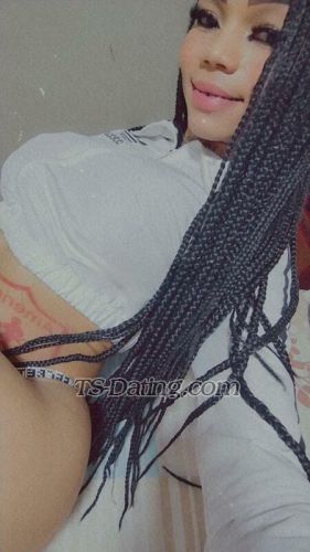 trans girl Jimenabb 3800423 trans girl Jimenabb 3800423