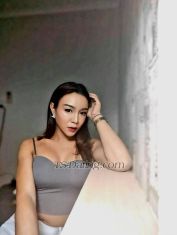 Jolin Chiang Rai Transex Salut messieurs, Je suis Jozy, votre ladyboy coquine (disponible dans la ville du nord de Chiang Rai) J'ai une bouche douce 😜 bonne baise 🍆 et des tarifs raisonnables 💰 J'ai la peau couleur miel | 38-29-32 | taille 168 cm (5' 6') | 59 kg (130 lbs) Je suis polyvalent, j'aime être en haut ou en bas et oral Disponible pour des rencontres sur appel ou à l'extérieur, peut se rencontrer en tête-à-tête ou à trois ou plus Quel est ton plaisir ? J'aime baiser M LB ou L Je vous propose un massage érotique inoubliable qui vous époustouflera et vous fera jouir ! 😳 Huile / corps à corps / trio 4 mains également disponible. Quel que soit votre fantasme, quel que soit votre plaisir, laissez-nous vous servir. Peut se réunir pour une courte durée, une longue durée, une nuit. Également disponible pour des voyages en dehors de Chiang Rai pour des séjours prolongés à partir de 11 000 THB par jour. Également disponible pour les clients réguliers de Chiang Rai pour une thérapie de massage érotique ou si vous avez simplement besoin d'une libération régulière. N'hésitez pas. Contactez-moi et nous répondrons à vos besoins dès aujourd'hui 🙏🏼 Tarifs ST : 1 heure 1800 THB 2 heures 3000 THB 3 heures 4000 THB Nuitée 5000 THB Nous pouvons également faire du camshow 15 minutes = 500 THB | 30 minutes = 800 THB J'ai plus de 90 vidéos/vidéos de sexe à vendre = 1200 THB ou nous pouvons créer le nôtre lorsque nous nous rencontrons en personne Vous souhaitez me rencontrer ou me connaître davantage ? 🤔 Contact : envoyez-moi un message sur l'application LINE : jajay56 ou Whatsapp : + six six 88 six 5 six 5 829 Numéro de portable : cliquez sur le 📞 ci-dessus Au plaisir de vous rencontrer bientôt Merci 🙏🏼 Par heure à partir de 1 800 ฿ (55 USD)