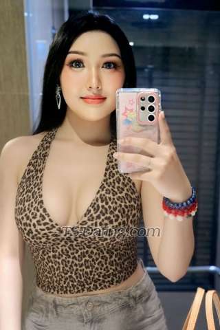 trans girl June033 9920176 trans girl June033 9920176