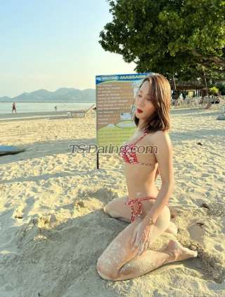 trans girl Jusmin 6220746 trans girl Jusmin 6220746