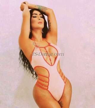 trans girl jamilah 8748023 trans girl jamilah 8748023