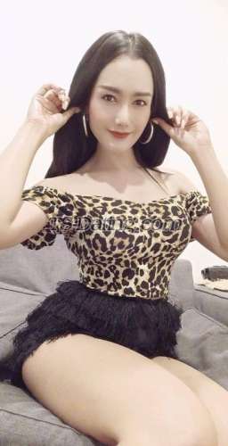 trans girl jenny743 3188221 trans girl jenny743 3188221