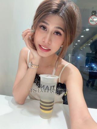 trans girl jesslynwongso 7828684 trans girl jesslynwongso 7828684